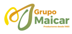 Logo Grupo Maicar